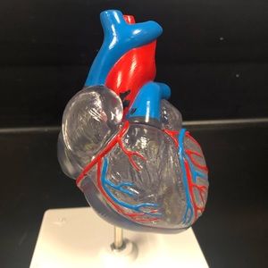 Meet your Posher, Maribel